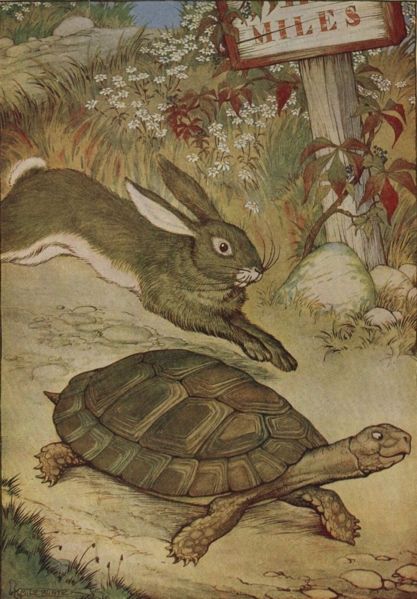 Tortoise and Hare